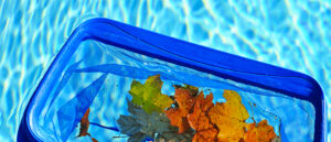 Pool Service - Prepare Your Pool For The Fall